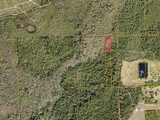 Property for sale in Pierson, Florida