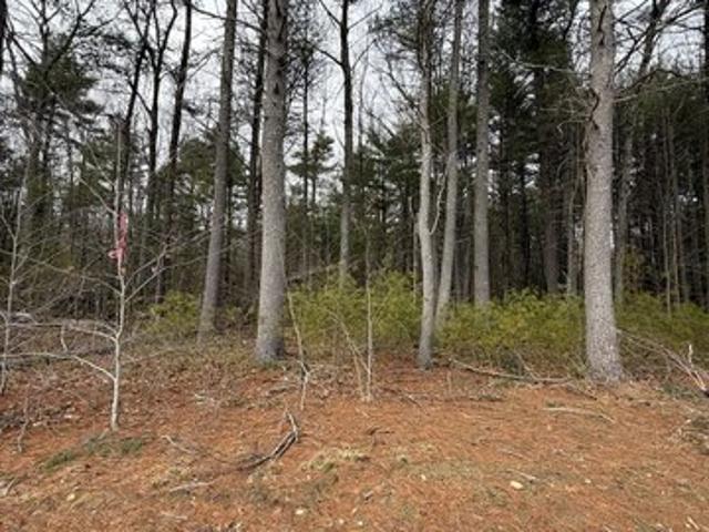 Land for sale in Raynham, Bristol County