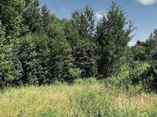 Land for sale in Troy, Vermont