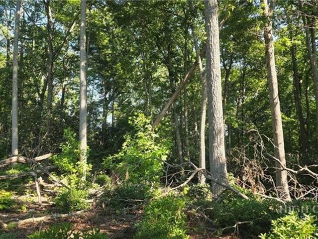 Land for sale in Spruce Pine, North Carolina