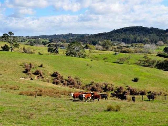 Property for sale in Kawau Island
