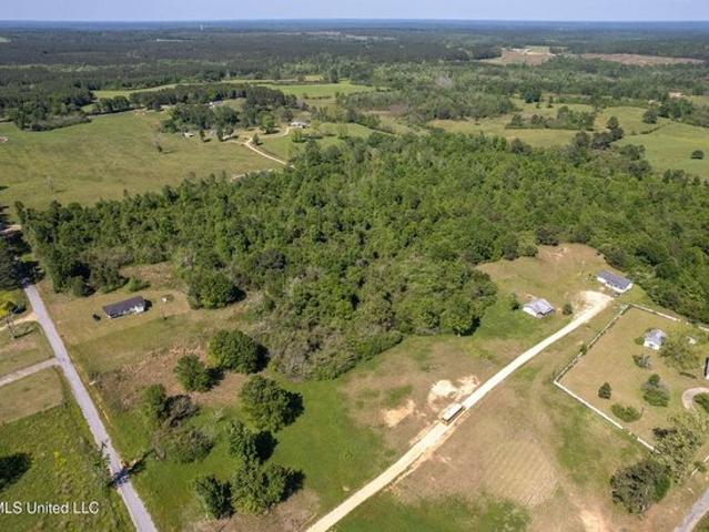 Land for sale in Collins, Mississippi