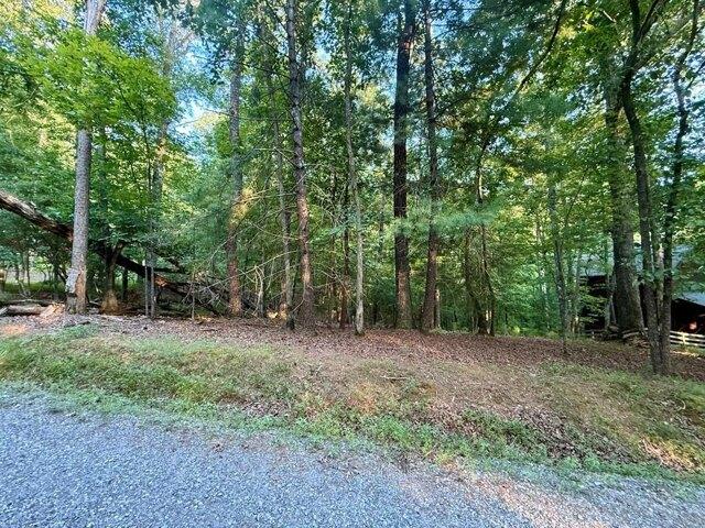 Land for sale in Ellijay Land for sale in Ellijay