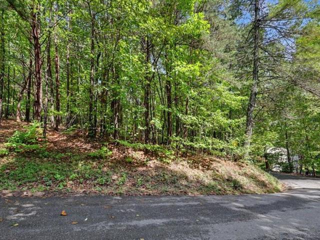 Land for sale in Young Harris, Towns County
