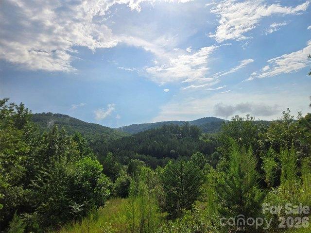 Land for sale in Rutherford, North Carolina