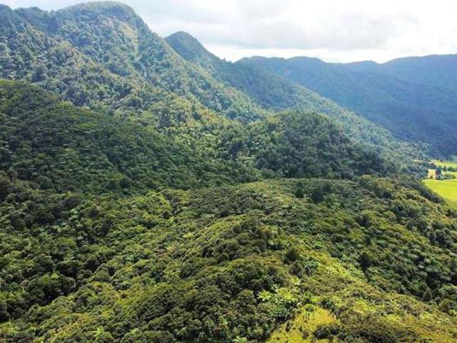 Land for sale in Ohaeawai, Northland