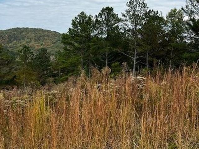 Land for sale in Blairsville, Georgia
