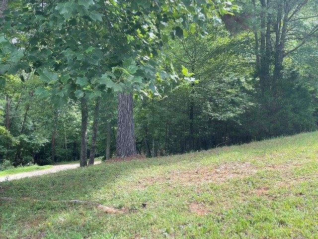Land for sale in Blairsville, Georgia