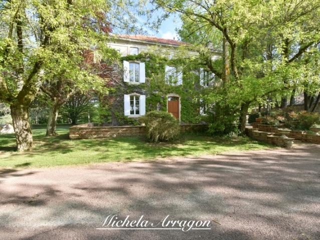 Château vente à Pinel-hauterive
