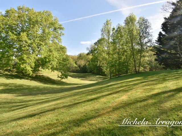 Château vente à Villeneuve-sur-Lot, Pinel-hauterive