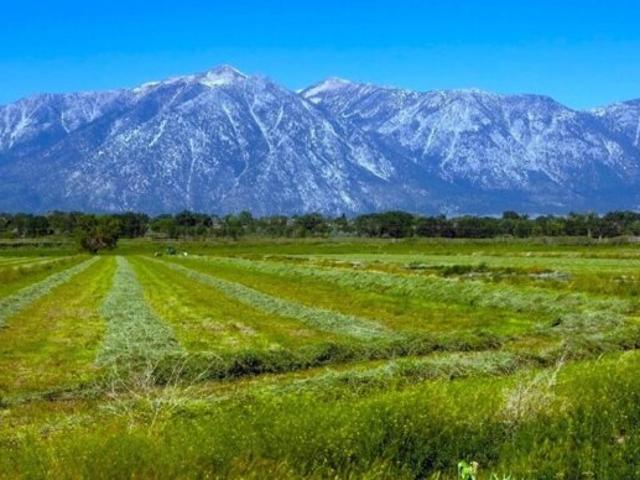 Land for sale in Gardnerville
