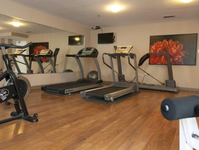 Apartment for rent in Arva, Ontario