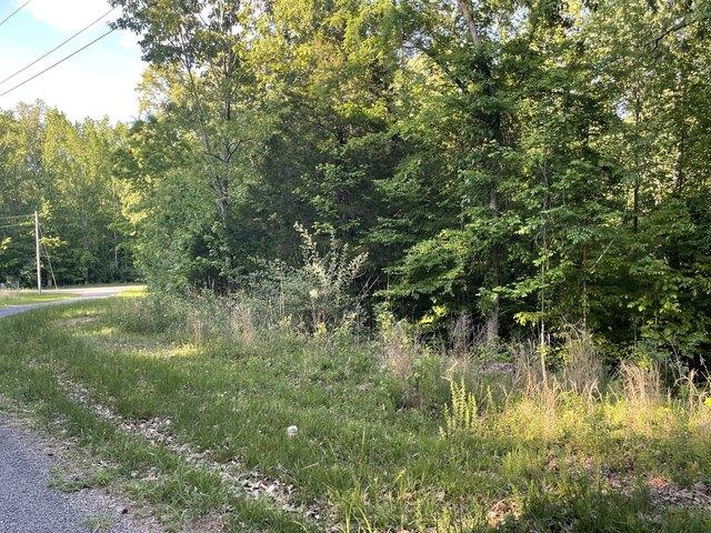 Land for sale in Cadiz, Trigg County