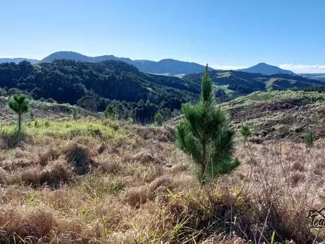House for sale in Maungaturoto, Northland