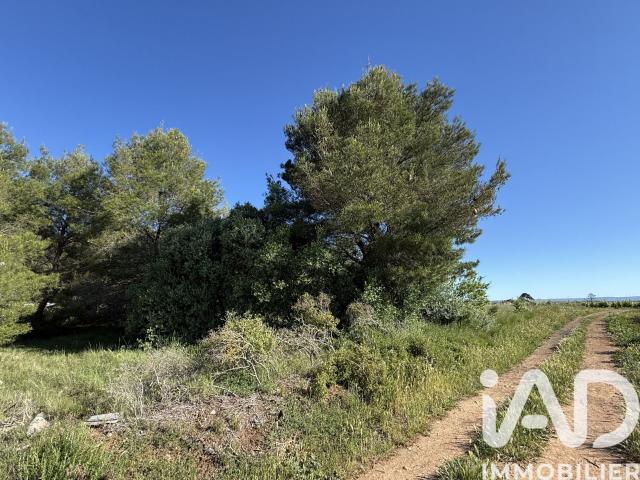 Terrain vente à Béziers, Pinet