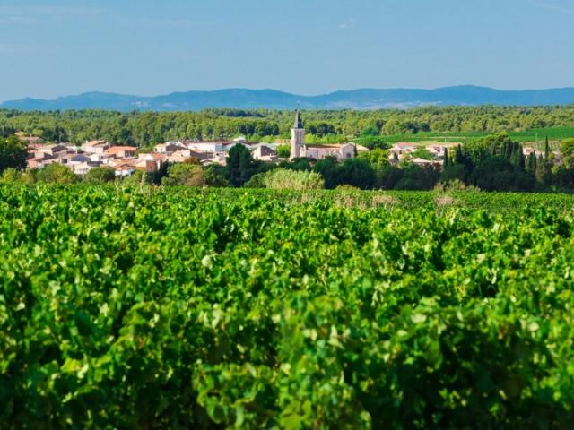 Terrain vente à Béziers, Pinet