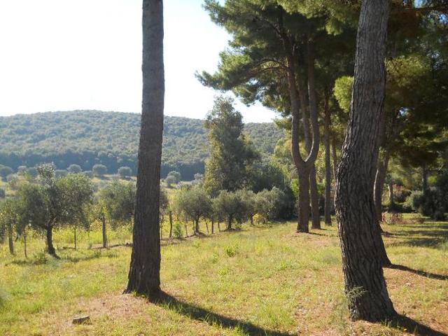 Terreno in vendita a Piombino, Toscana