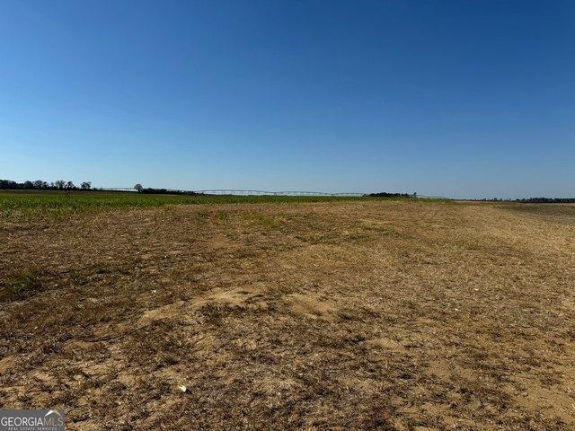 Land for sale in Wadley, Georgia