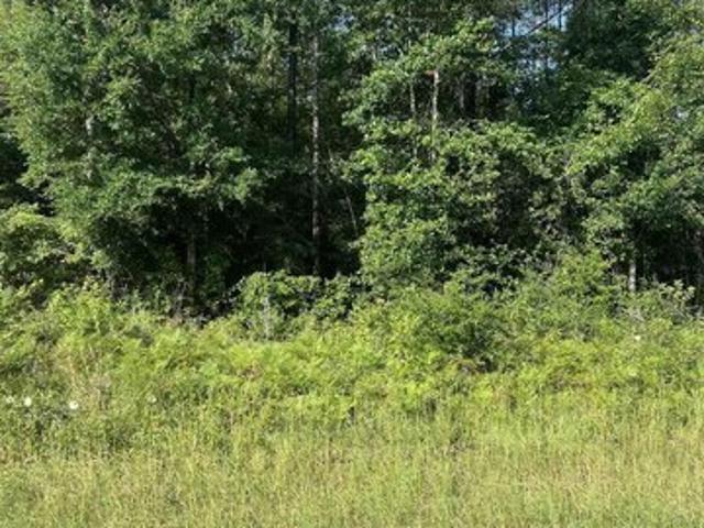 Land for sale in Jay, Florida