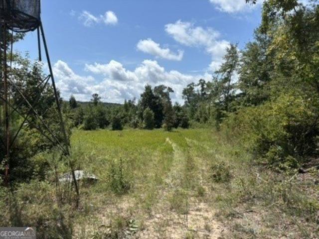 Land for sale in Buena Vista, Georgia