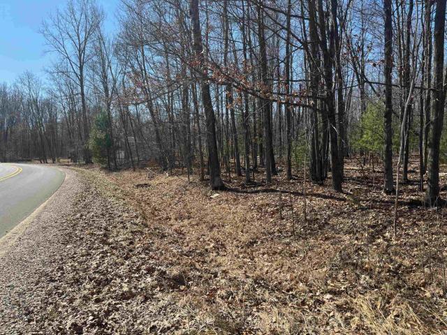 Land for sale in Wagarville, Michigan