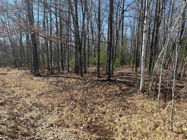 Land for sale in Gladwin, Michigan