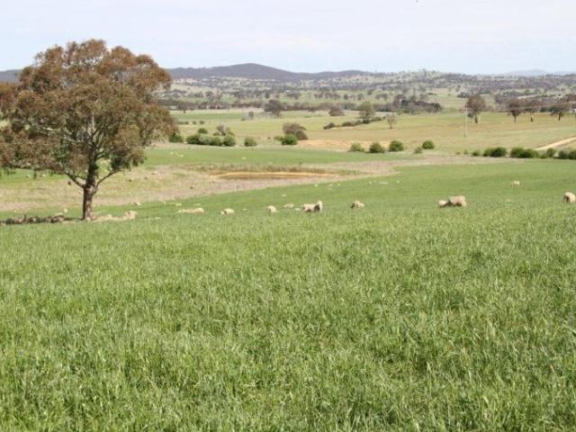 Cottage for sale in New South Wales