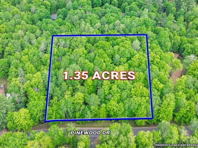 Land for sale in Vilas, Wisconsin