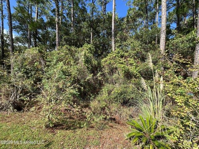 Land for sale in Pass Christian, Mississippi