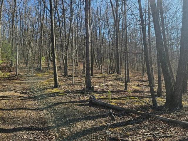 Land for sale in Bedford, Pennsylvania