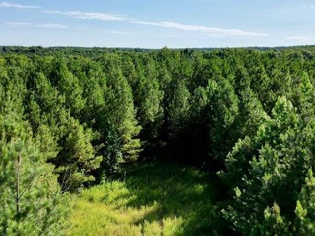 Farm for sale in Blackstone, Nottoway County