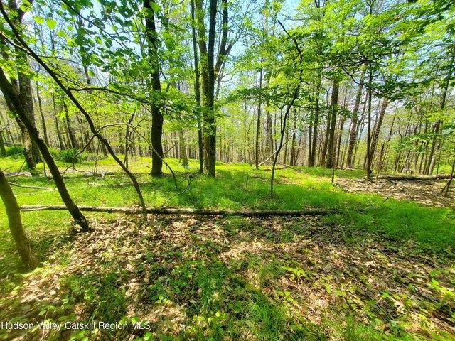 Land for sale in Accord, New York