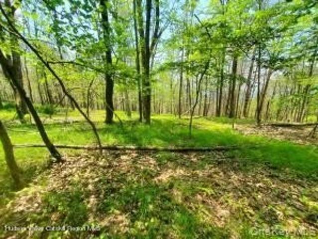 Land for sale in Cragsmoor, Town of Wawarsing