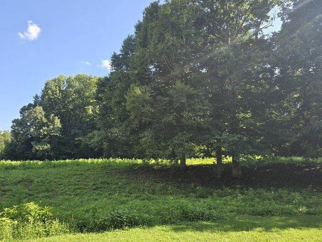 Land for sale in Tennessee