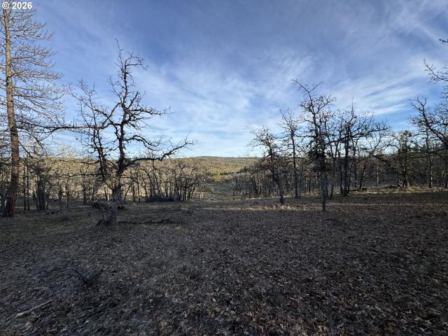 Land for sale in Goldendale, Washington