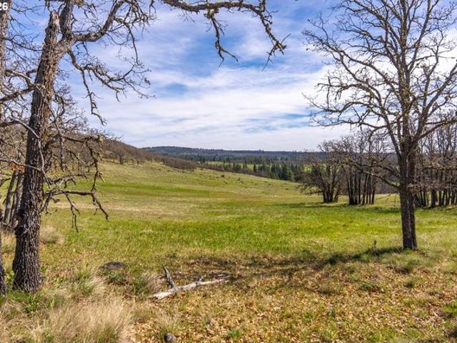 Land for sale in Goldendale, Washington