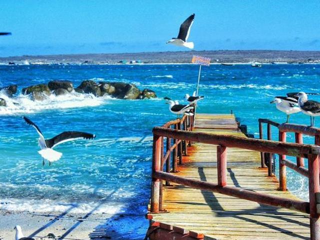 Casa en venta en La Higuera, Coquimbo