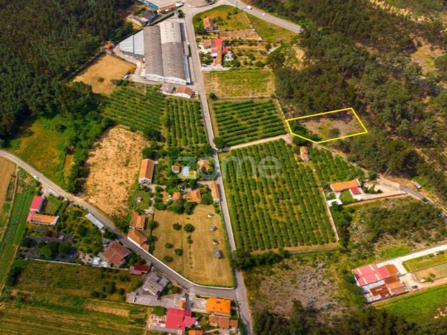 Terreno venda em Quinta do Morangal, Águeda