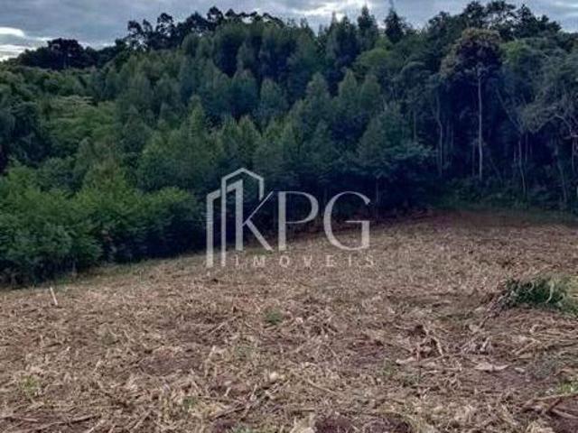 Casa venda em Região Geográfica Imediata de Caxias do Sul, Nova Petrópolis