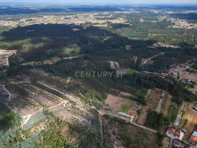 Terreno venda em Montemor-o-velho, Coimbra