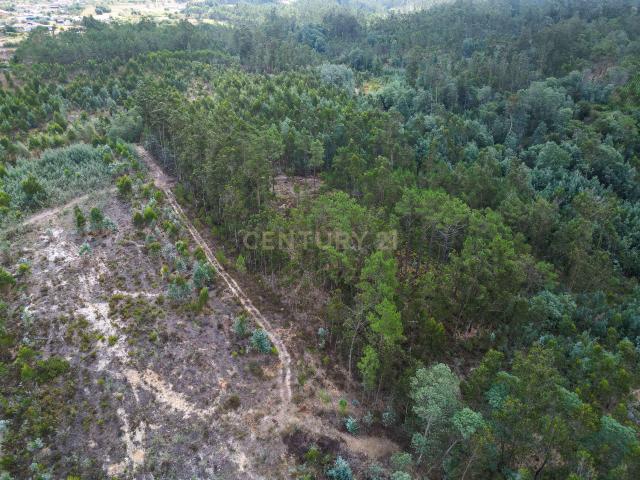 Terreno venda em Montemor-o-velho, Coimbra