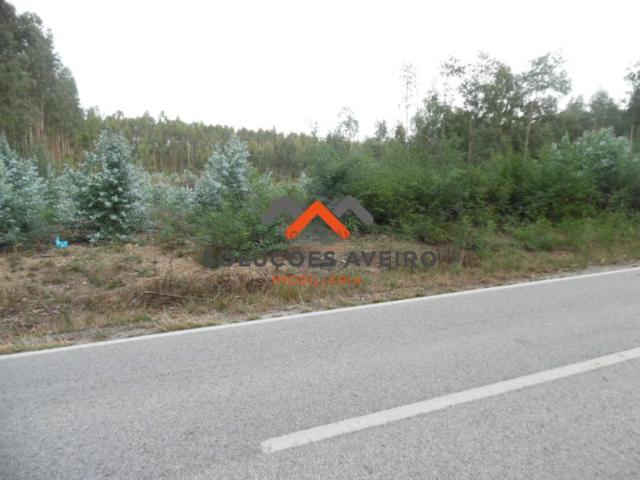 Terreno venda em Albergaria-a-velha, Aveiro