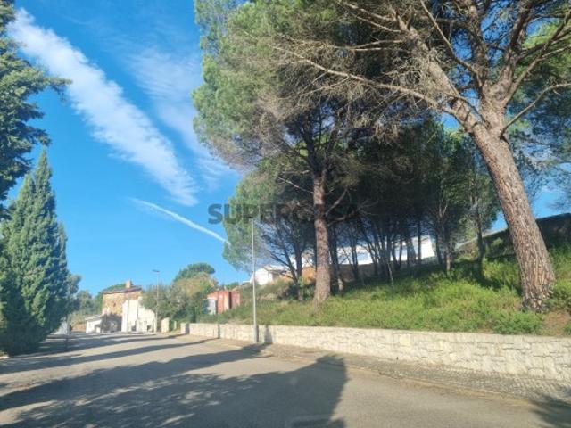 Terreno venda em Constância, Santarém