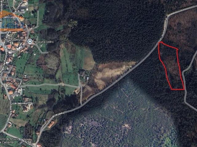 Terreno venda em Nespreira de Mundão, Viseu
