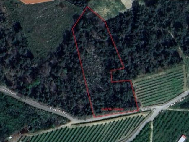 Terreno venda em Lamego, Viseu