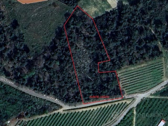 Terreno venda em Lamego, Viseu