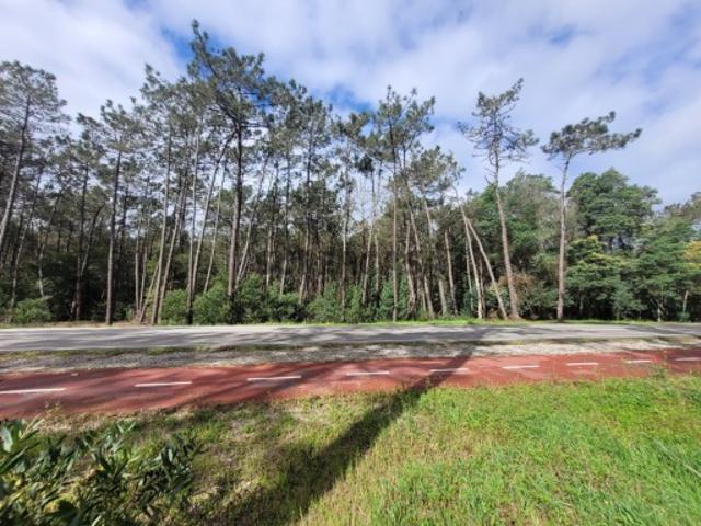 Terreno venda em Vagos, Gafanha do Areão