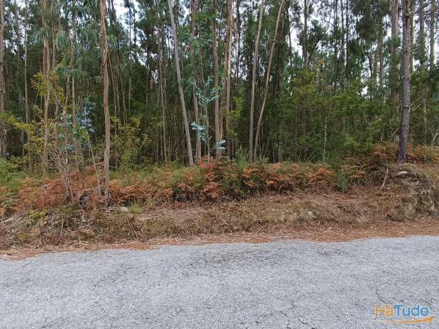 Terreno venda em Oliveira De Frades, Viseu