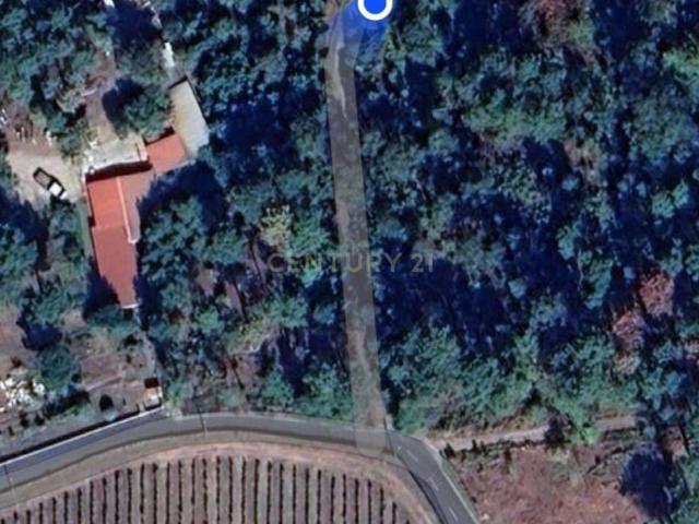 Terreno venda em Lourosa de Cima, Viseu