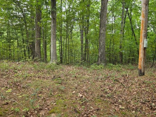 Land for sale in Hedgesville, West Virginia